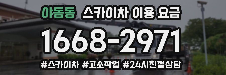 야동동 스카이차 이용 요금