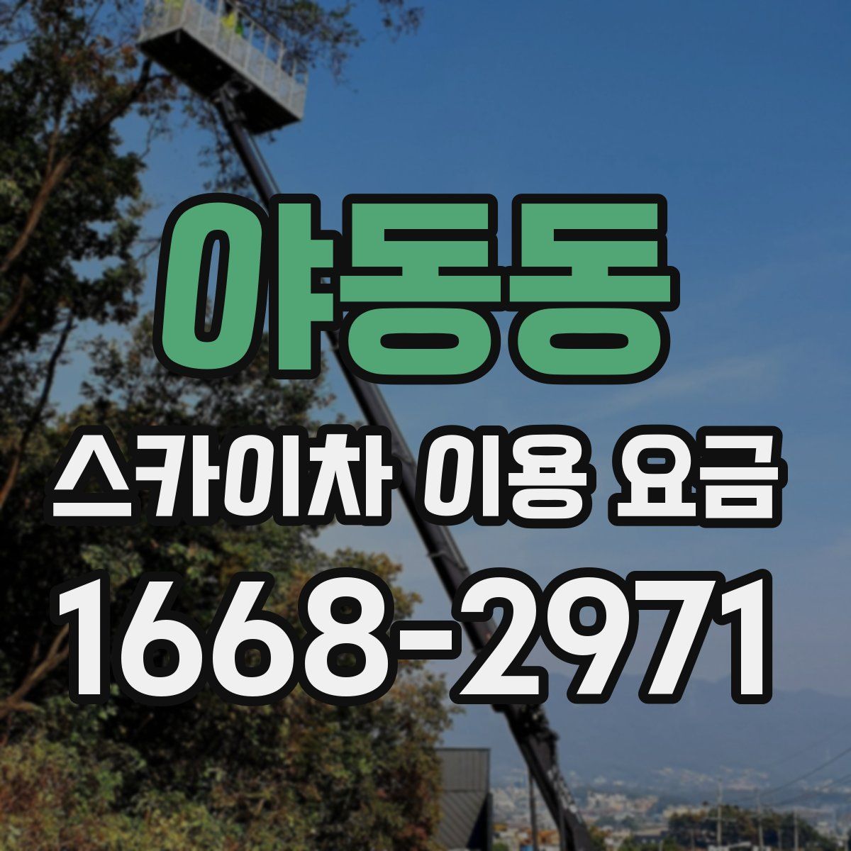 야동동 스카이차 이용 요금