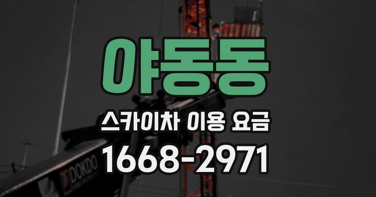야동동 스카이차 이용 요금