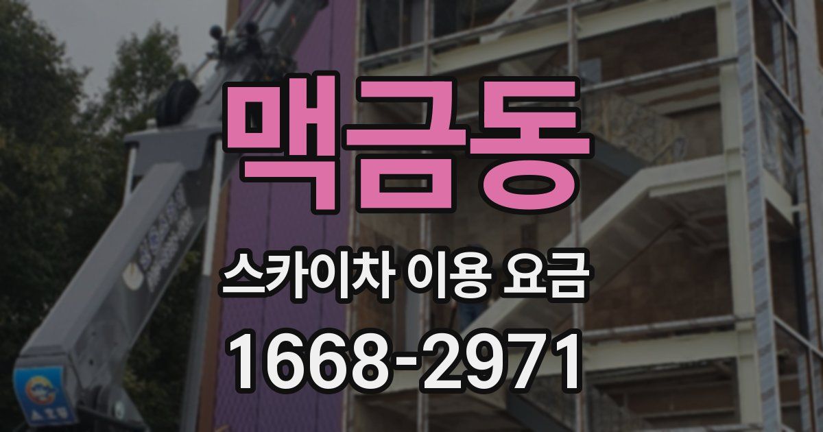 맥금동 스카이차 이용 요금