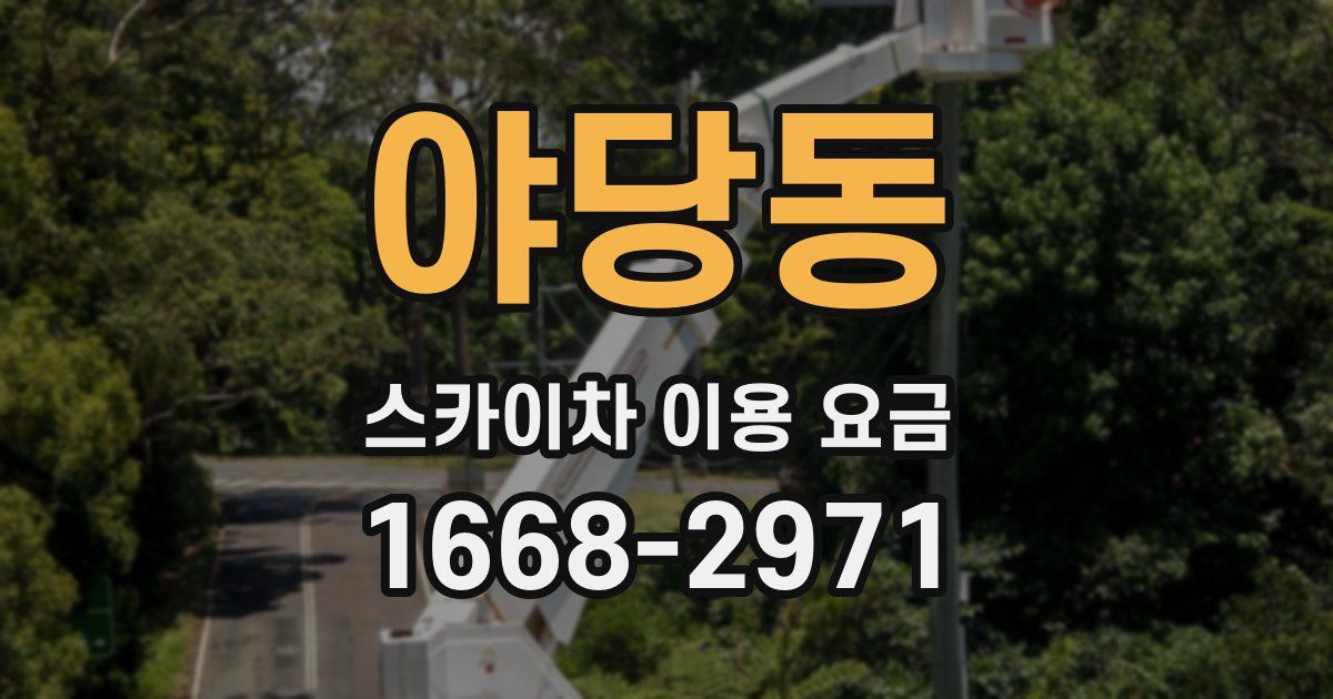 야당동 스카이차 이용 요금