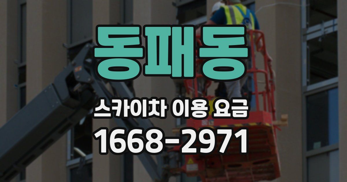 동패동 스카이차 이용 요금