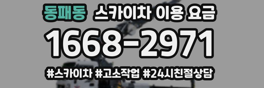 동패동 스카이차 이용 요금
