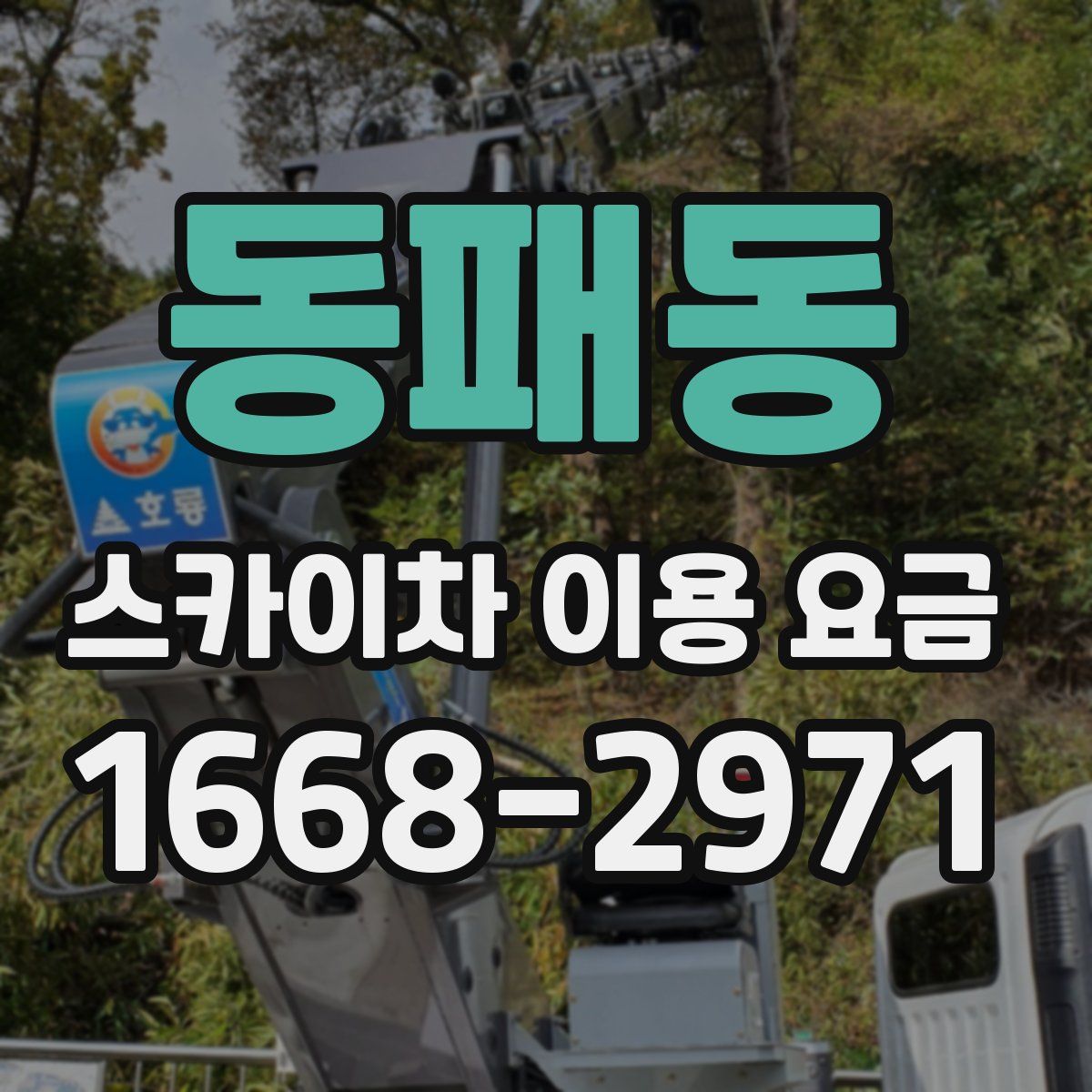 동패동 스카이차 이용 요금