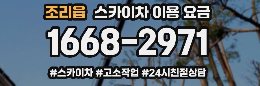 조리읍 스카이차 이용 요금