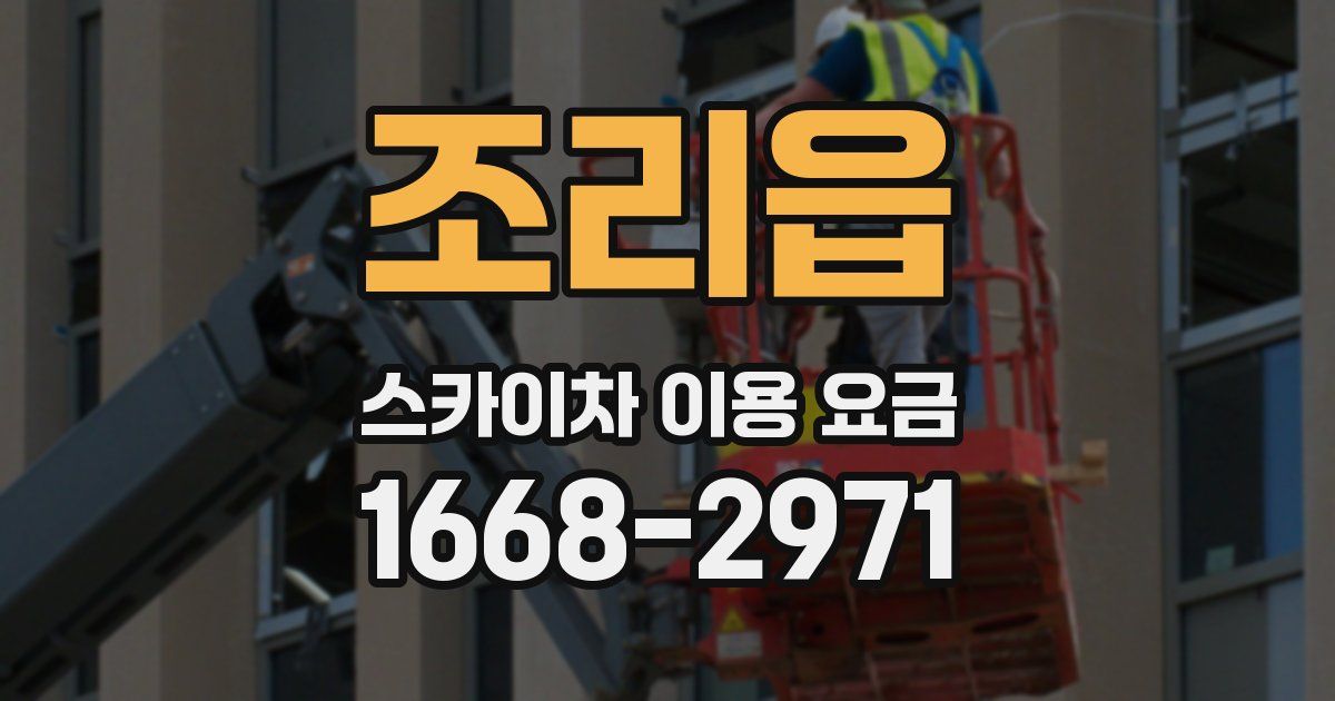 조리읍 스카이차 이용 요금