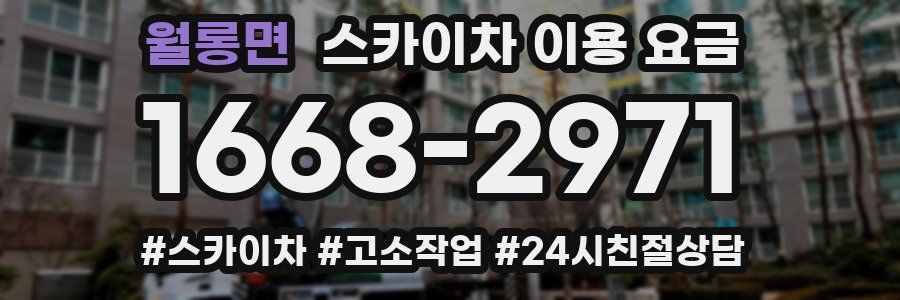 월롱면 스카이차 이용 요금
