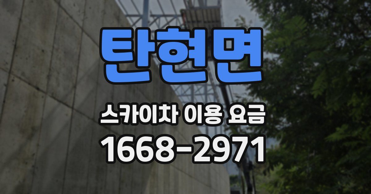 탄현면 스카이차 이용 요금