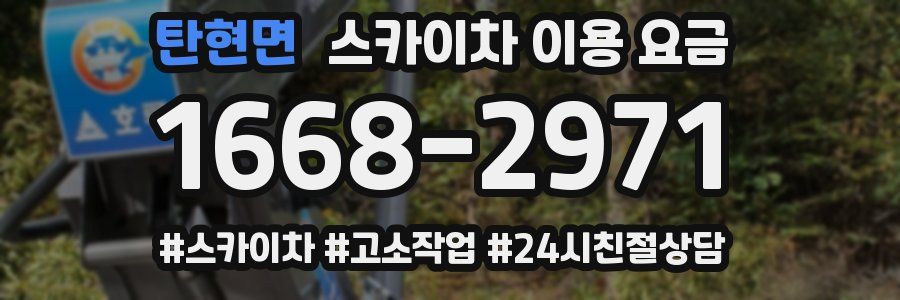 탄현면 스카이차 이용 요금