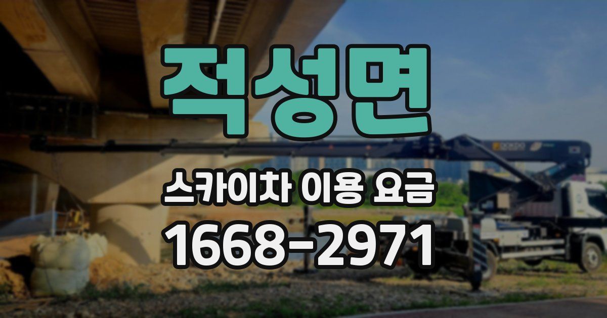 적성면 스카이차 이용 요금