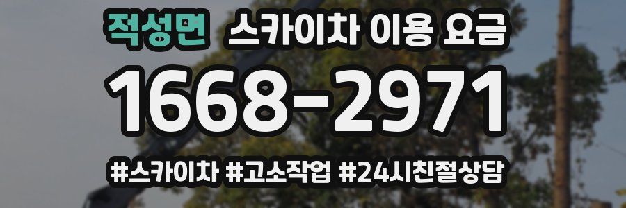 적성면 스카이차 이용 요금