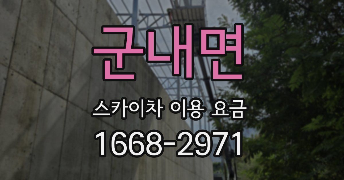 군내면 스카이차 이용 요금