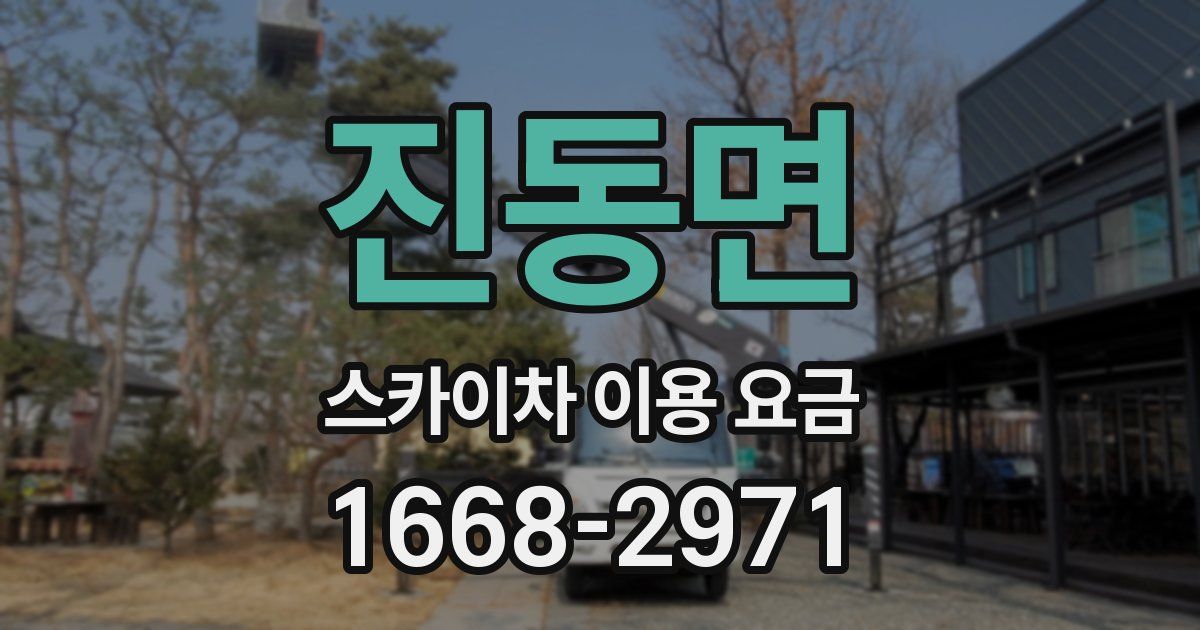 진동면 스카이차 이용 요금