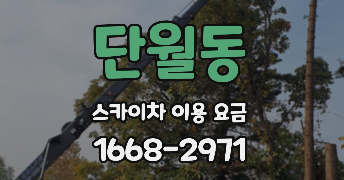 단월동 스카이차 이용 요금