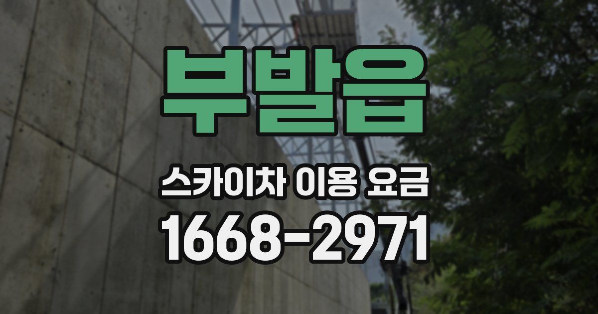 부발읍 스카이차 이용 요금