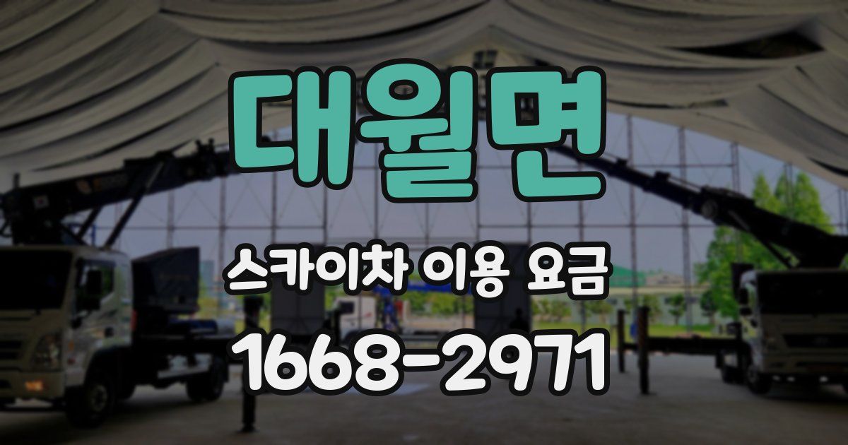 대월면 스카이차 이용 요금