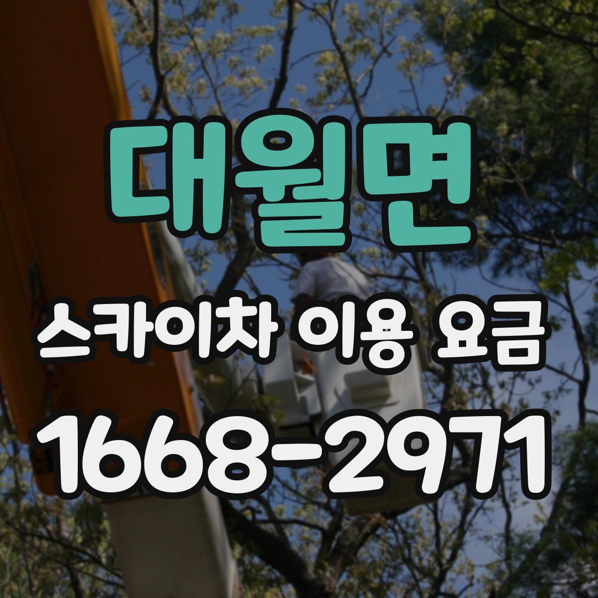 대월면 스카이차 이용 요금
