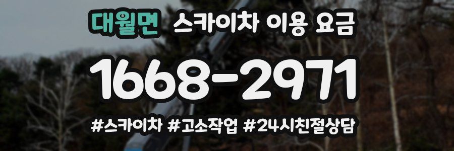 대월면 스카이차 이용 요금