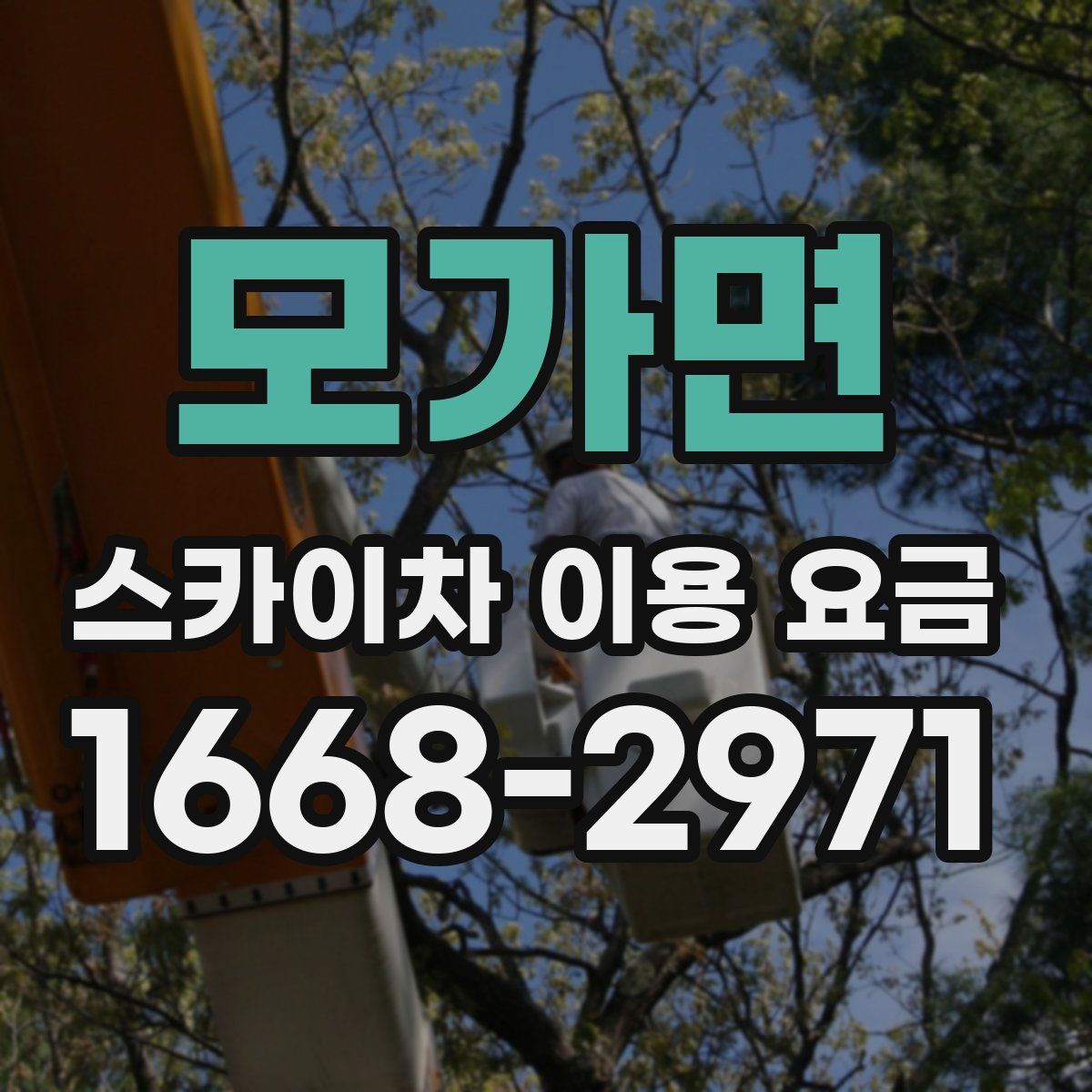 모가면 스카이차 이용 요금
