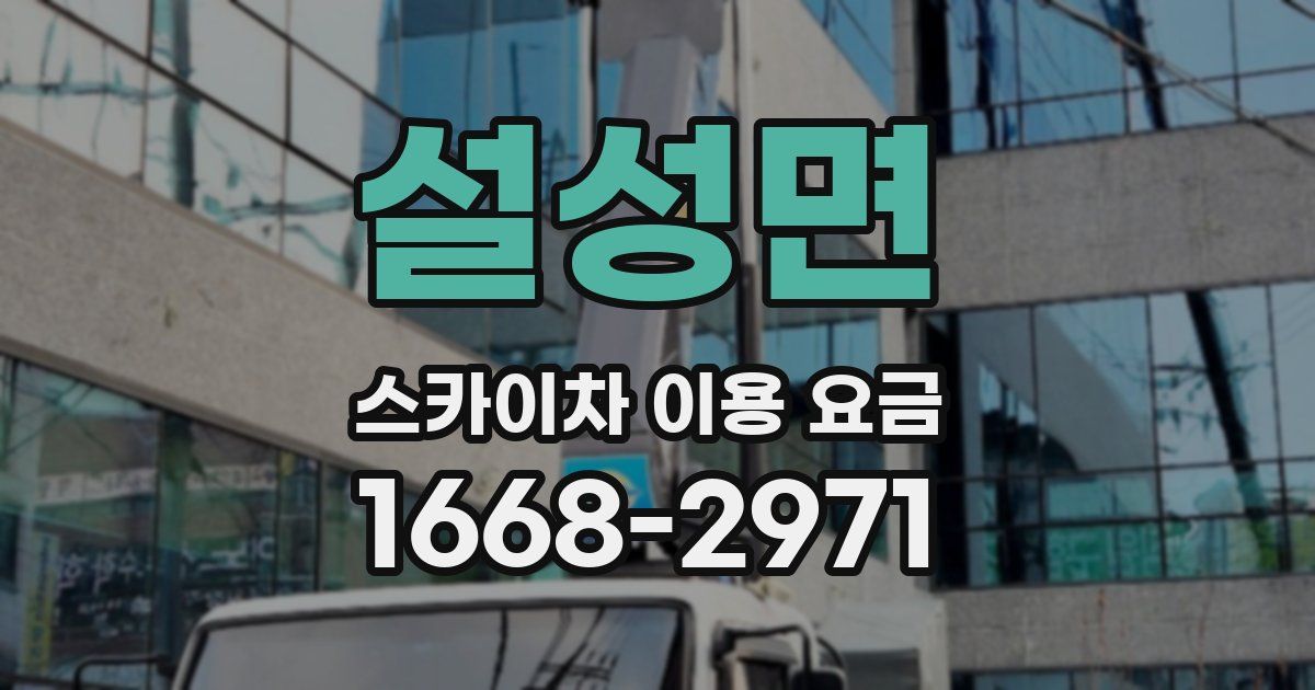 설성면 스카이차 이용 요금