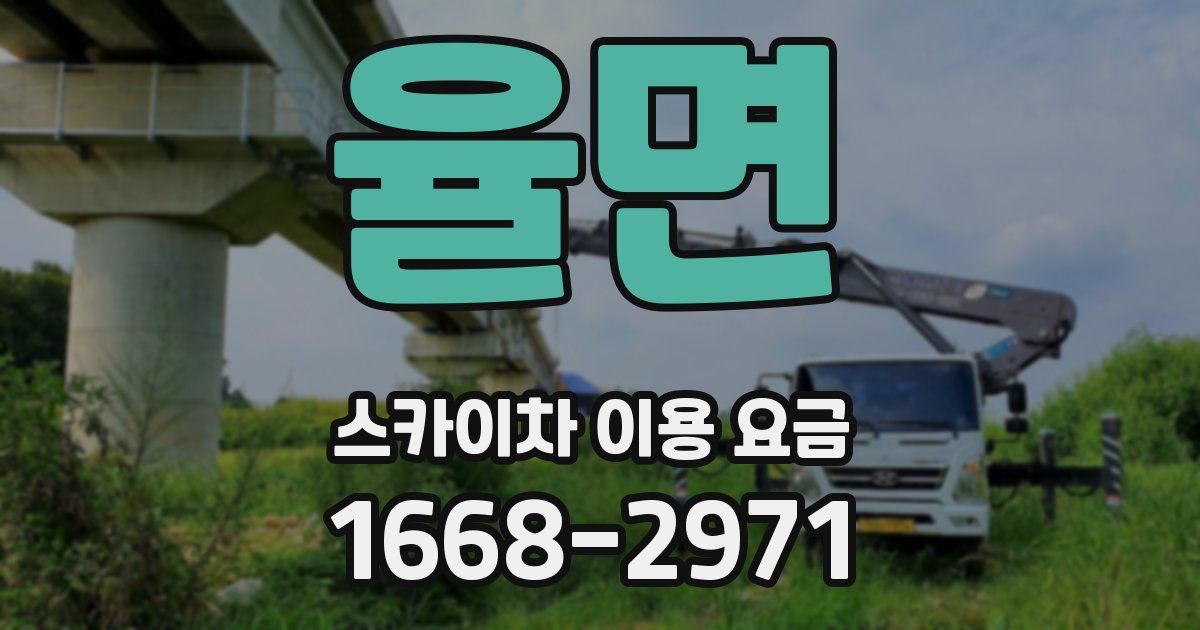 율면 스카이차 이용 요금