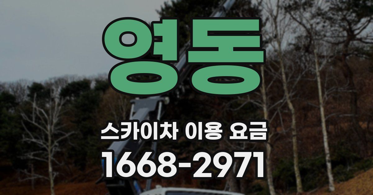 영동 스카이차 이용 요금