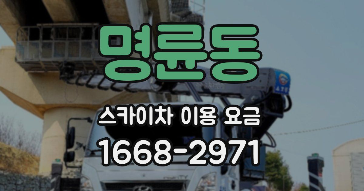 명륜동 스카이차 이용 요금