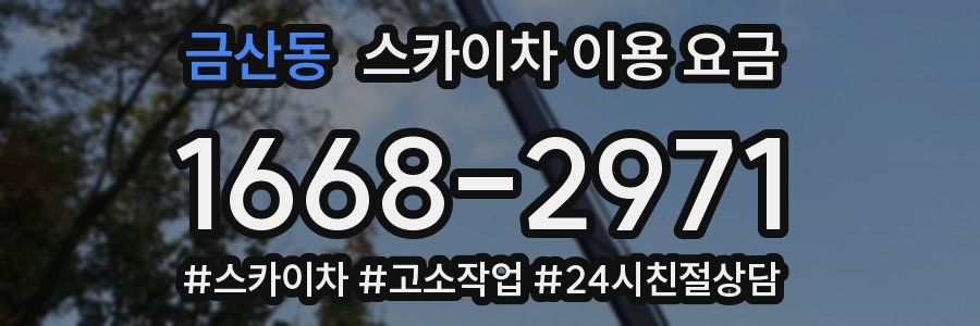 금산동 스카이차 이용 요금