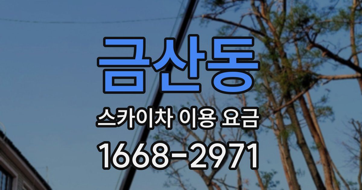 금산동 스카이차 이용 요금