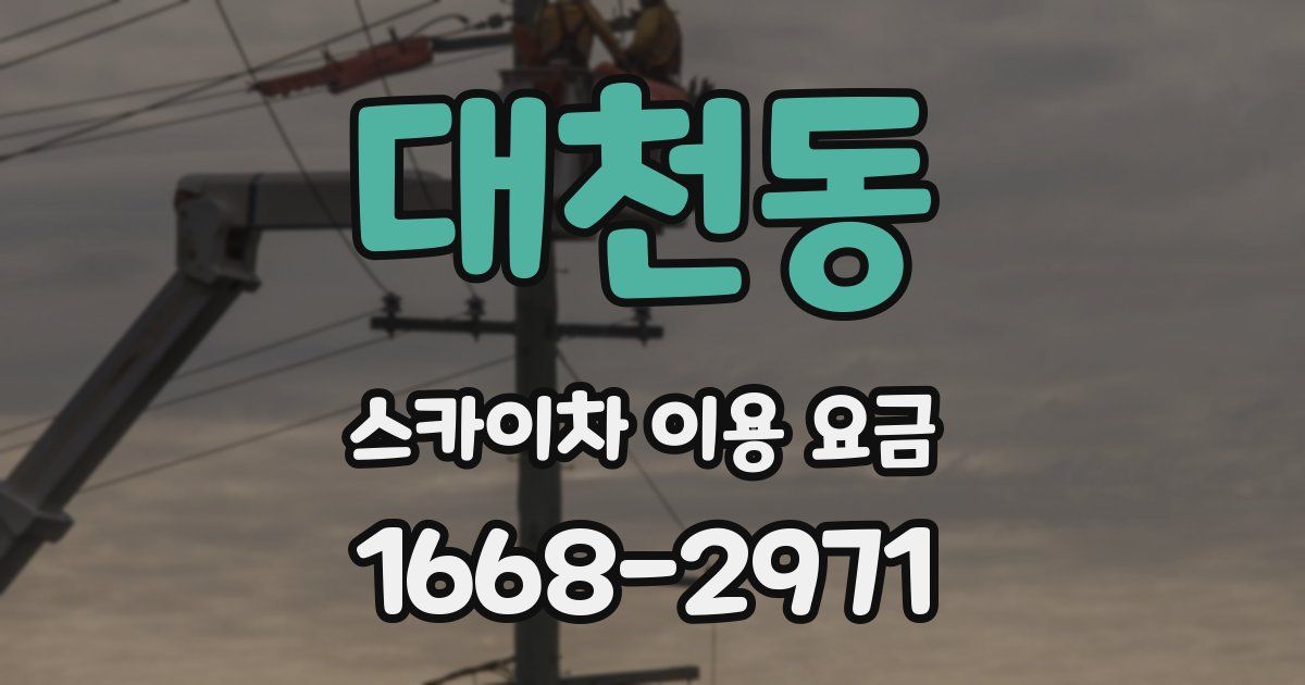 대천동 스카이차 이용 요금