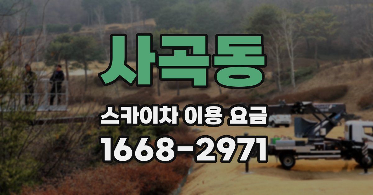 사곡동 스카이차 이용 요금