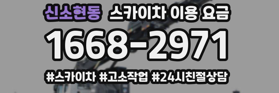 신소현동 스카이차 이용 요금