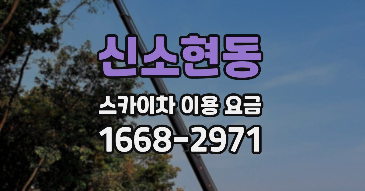 신소현동 스카이차 이용 요금