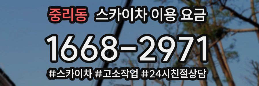 중리동 스카이차 이용 요금