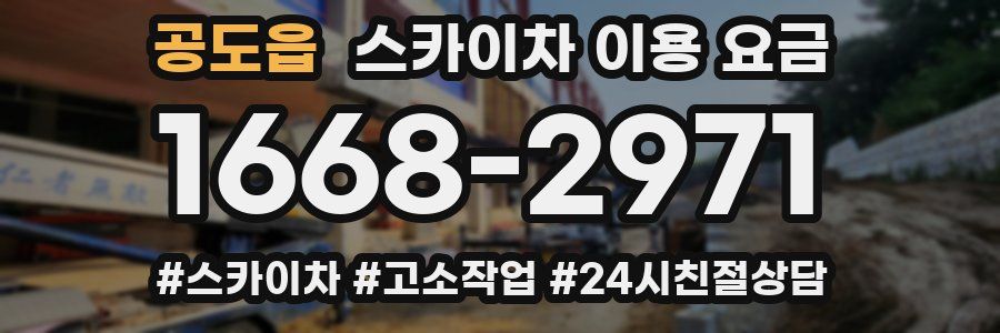 공도읍 스카이차 이용 요금