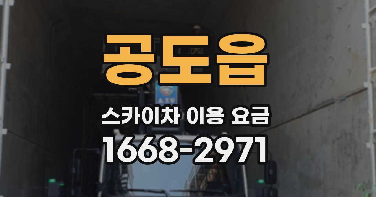 공도읍 스카이차 이용 요금