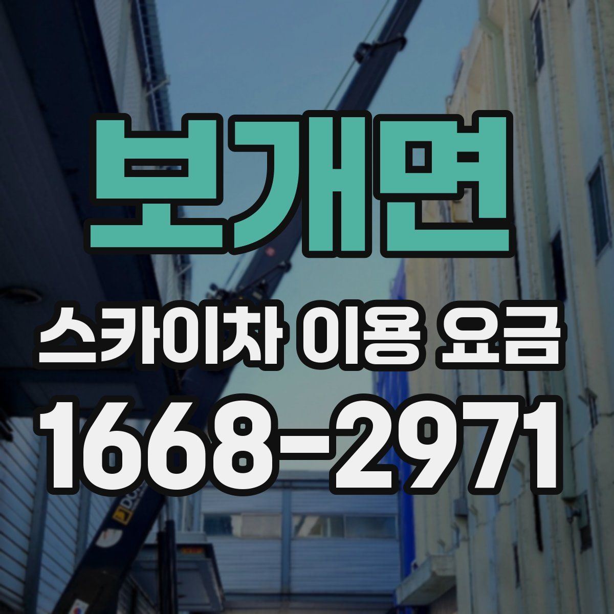 보개면 스카이차 이용 요금