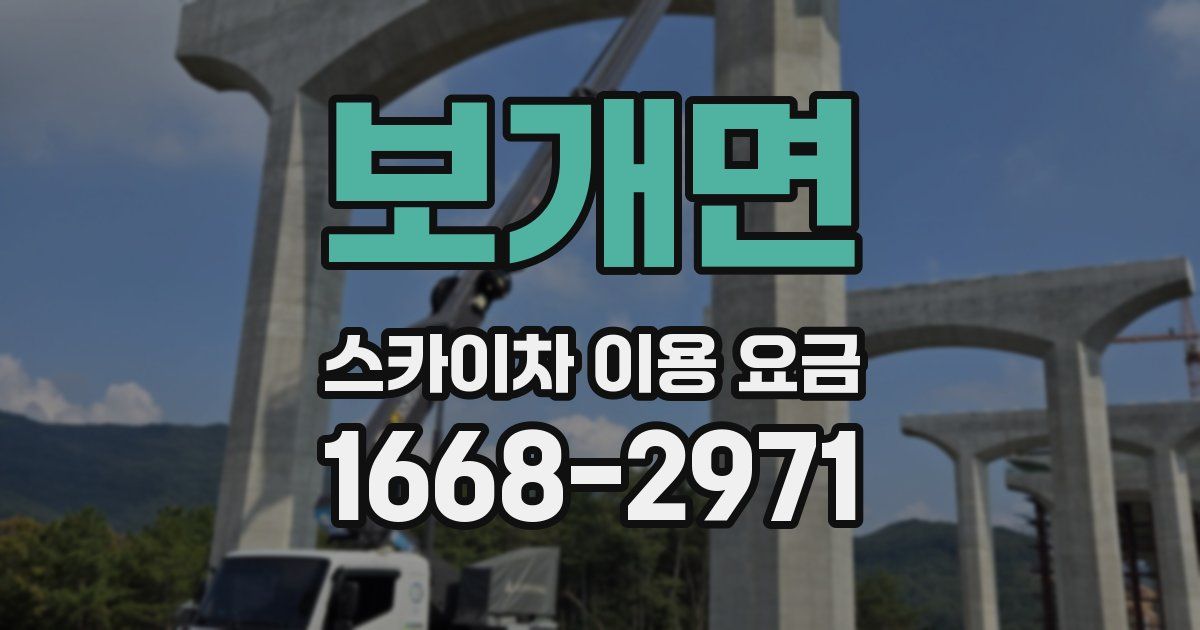 보개면 스카이차 이용 요금