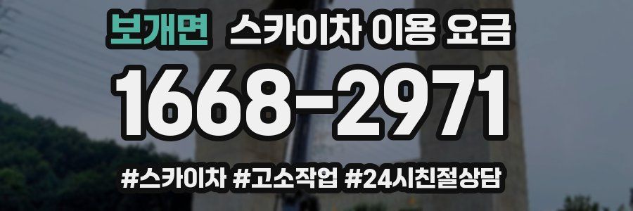 보개면 스카이차 이용 요금