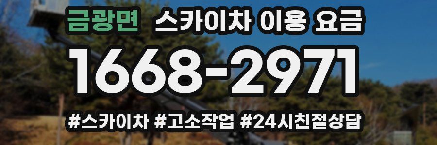 금광면 스카이차 이용 요금