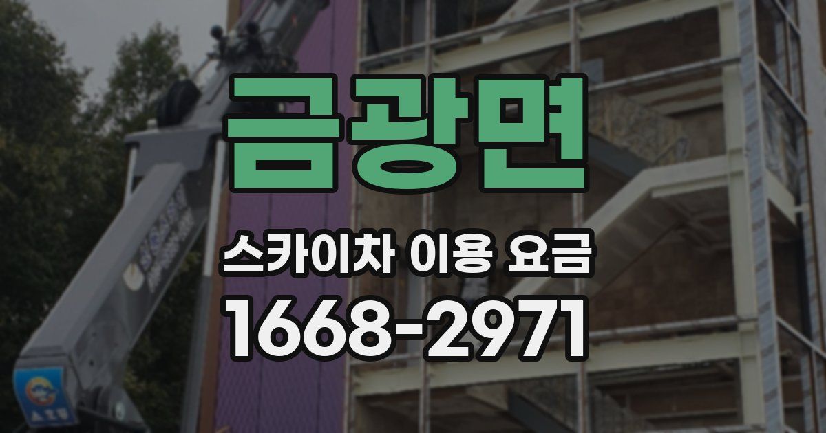 금광면 스카이차 이용 요금