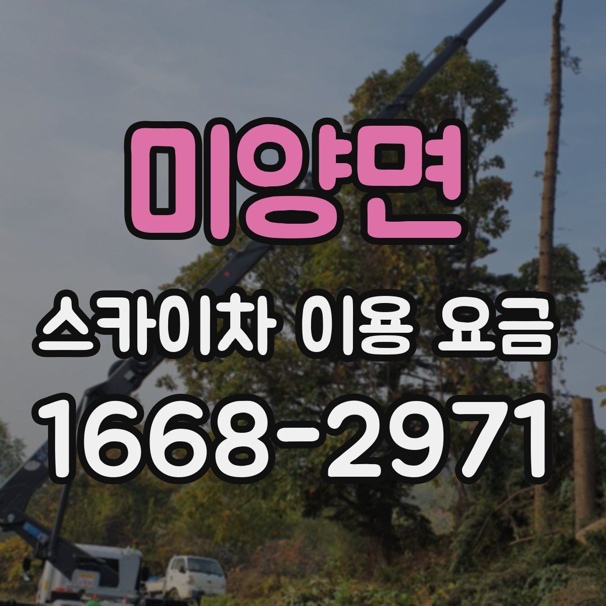 미양면 스카이차 이용 요금