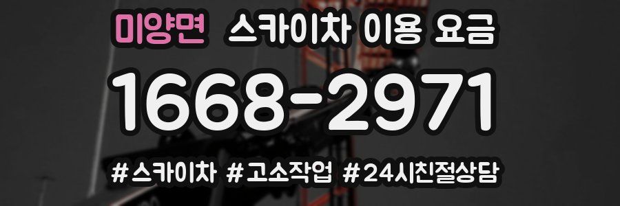 미양면 스카이차 이용 요금