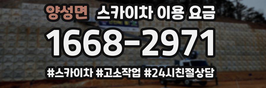 양성면 스카이차 이용 요금
