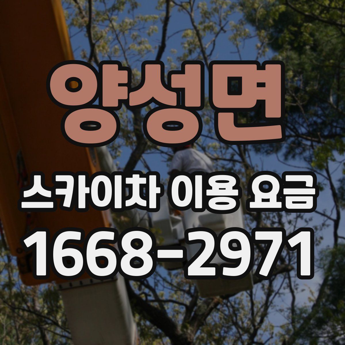 양성면 스카이차 이용 요금