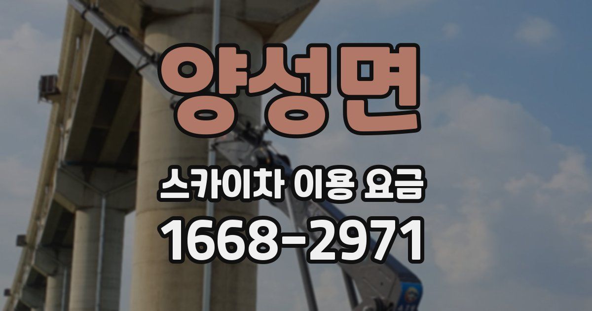 양성면 스카이차 이용 요금