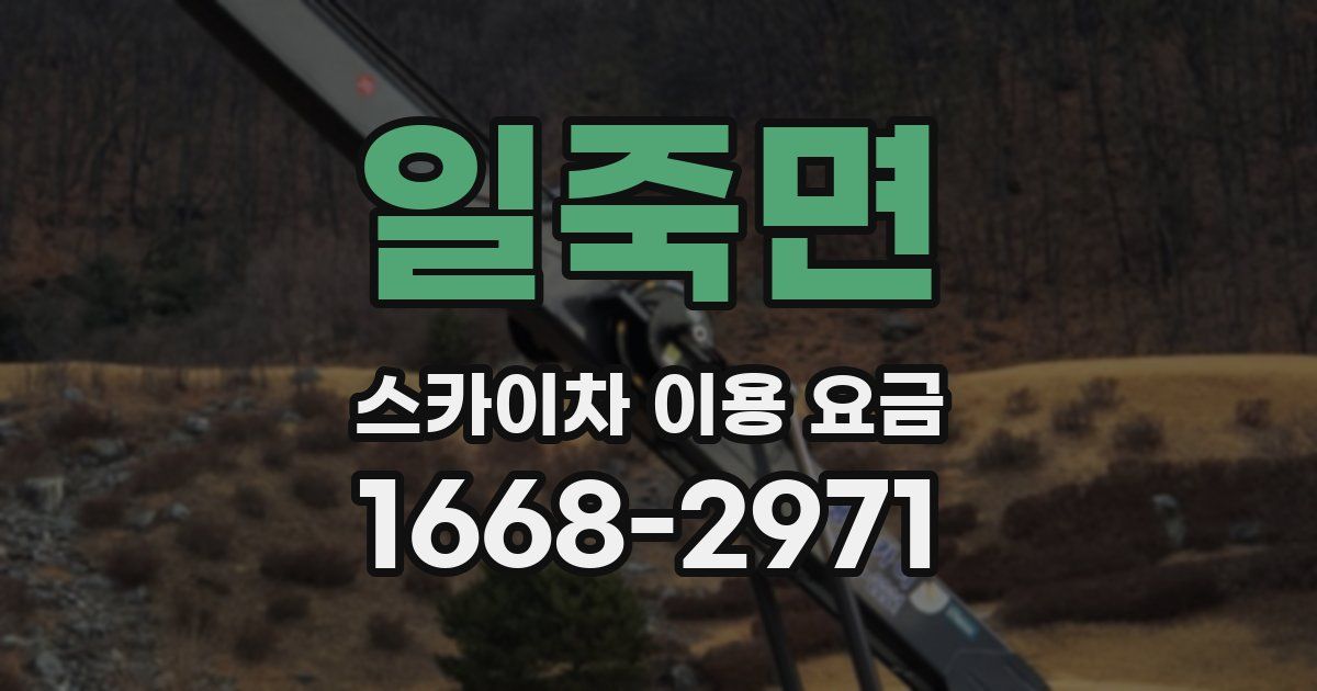 일죽면 스카이차 이용 요금