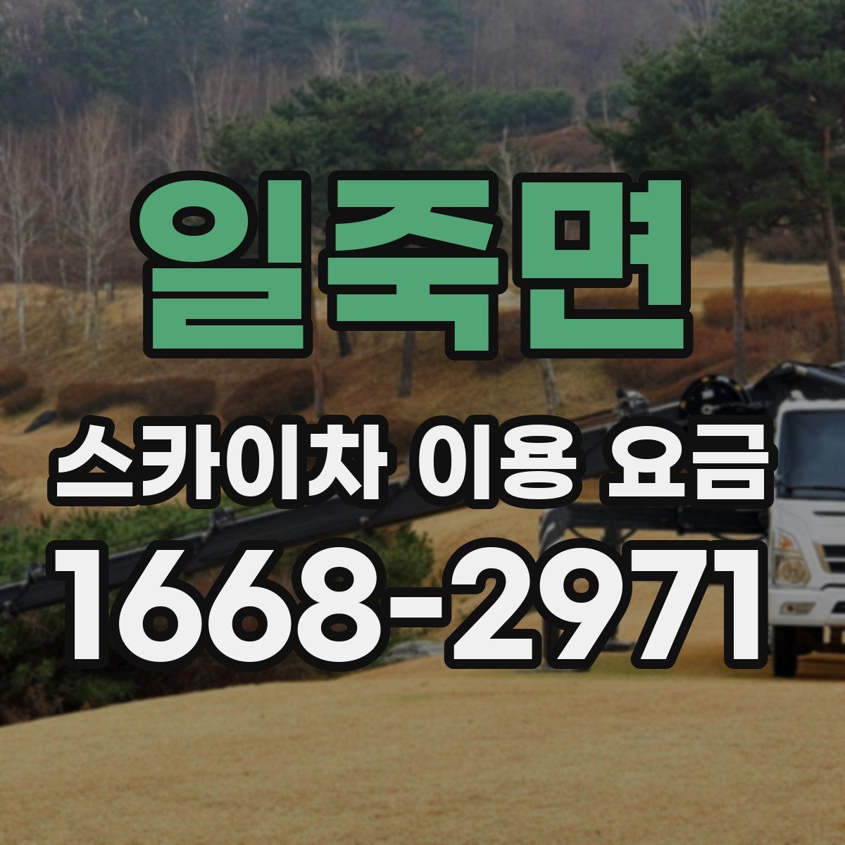 일죽면 스카이차 이용 요금