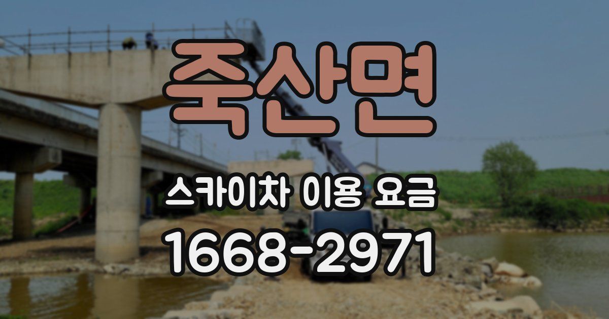 죽산면 스카이차 이용 요금