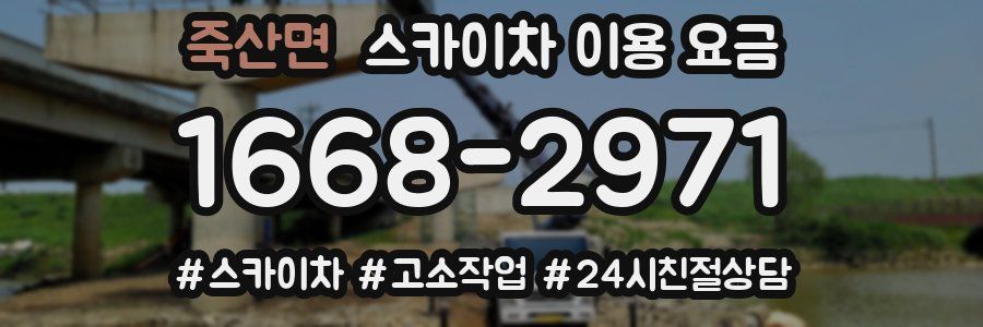 죽산면 스카이차 이용 요금